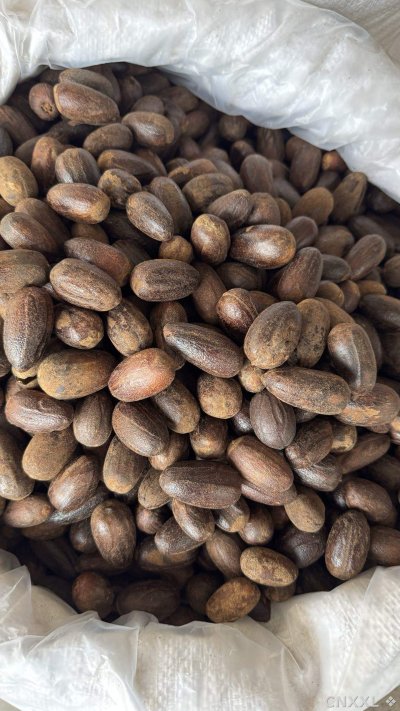 spice_13266_646290aa_3.jpg