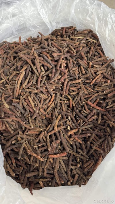 spice_1357143_aab39731_3.jpg