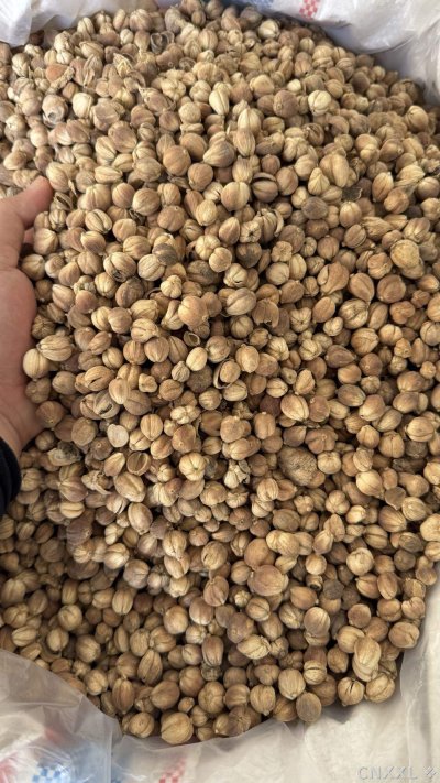 spice_1357145_6c7c4153_3.jpg