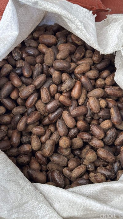 spice_1357146_3c64c274_3.jpg