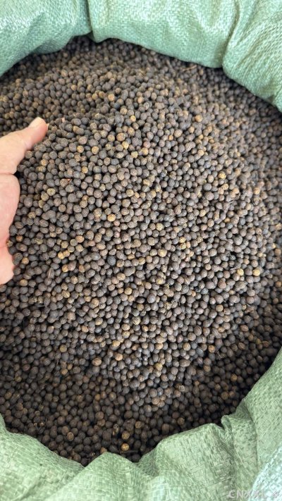 spice_1357147_60da44e8_3.jpg