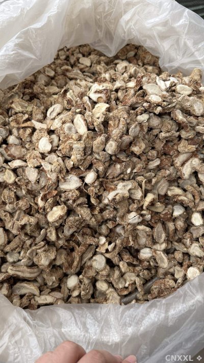 spice_13614_dd44cabf_3.jpg