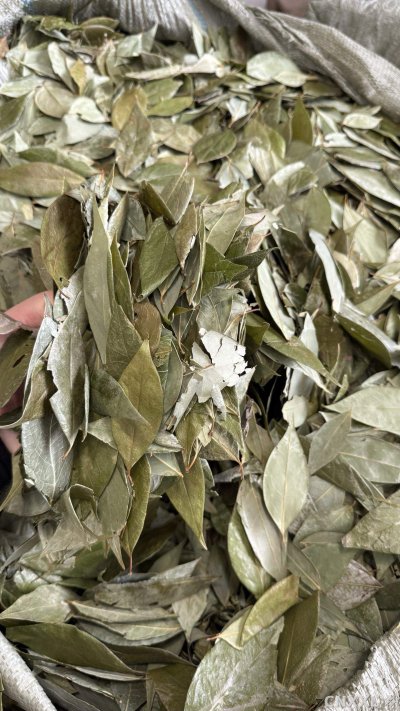 spice_1362179_b69fbd78_2.jpg