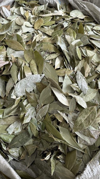 spice_1362179_f6a9ca2f_3.jpg
