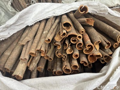 spice_14225_c382aa57_3.jpg