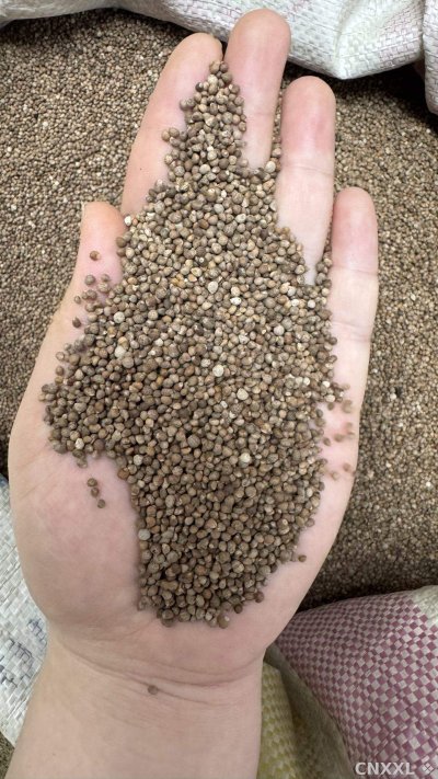 spice_14226_e3b4797c_1.jpg