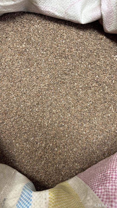 spice_14226_e549521b_3.jpg