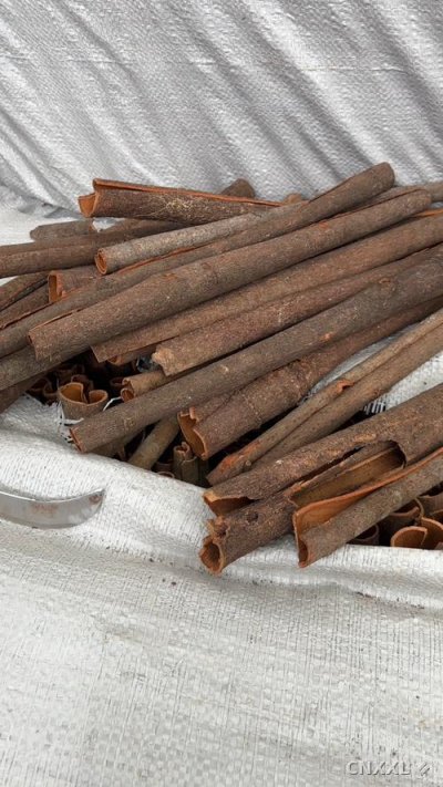 spice_14254_96119c77_1.jpg