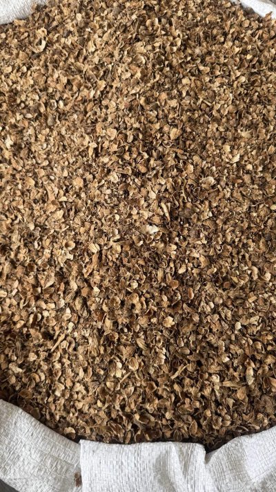 spice_14405_ce64f3e1_3.jpg
