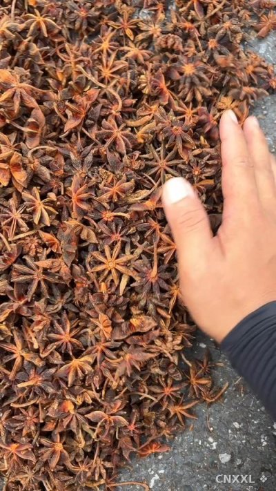spice_1442657_ba2bf8f4_1.jpg