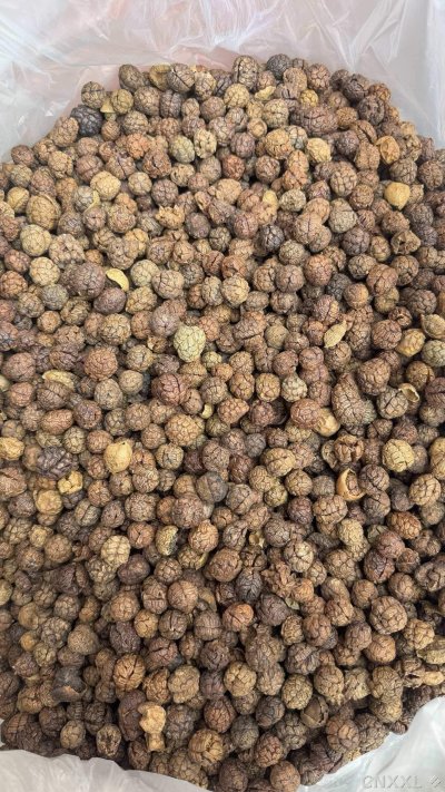 spice_14833_eca661cb_3.jpg