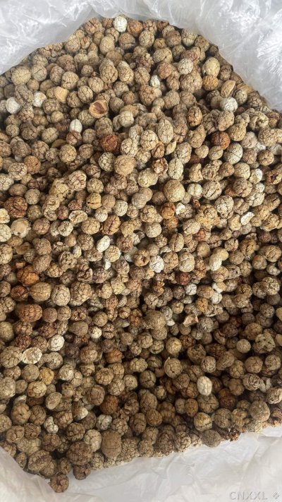 spice_14834_af76efe5_3.jpg