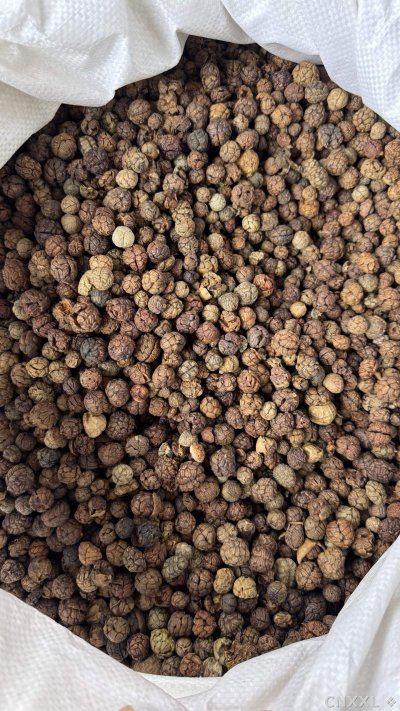 spice_14835_ebcc190b_3.jpg