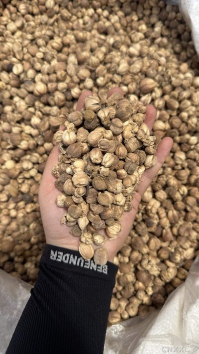 spice_14862_becf5297_1.jpg