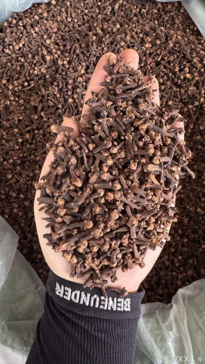 spice_14863_2f8e7b1b_1.jpg