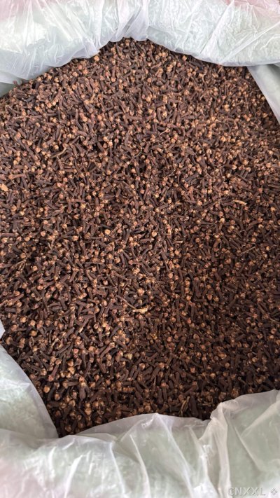 spice_14863_e64cd107_3.jpg