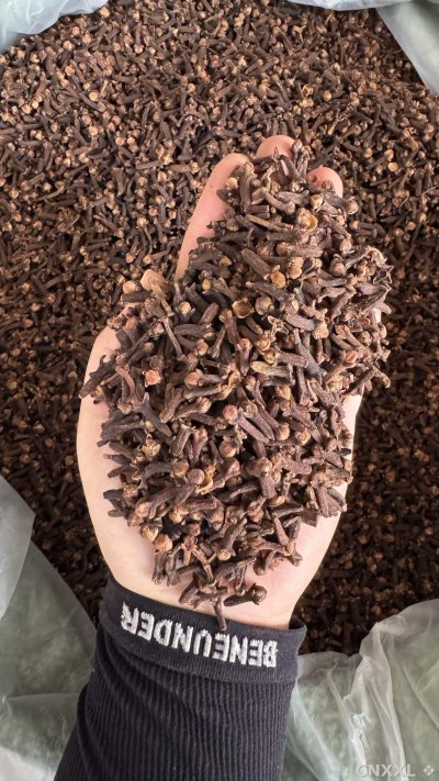 spice_14863_f595da15_2.jpg