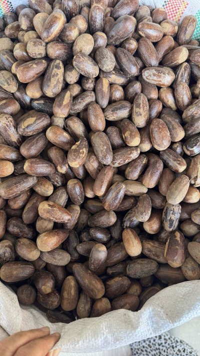spice_14864_57e6fa6d_3.jpg