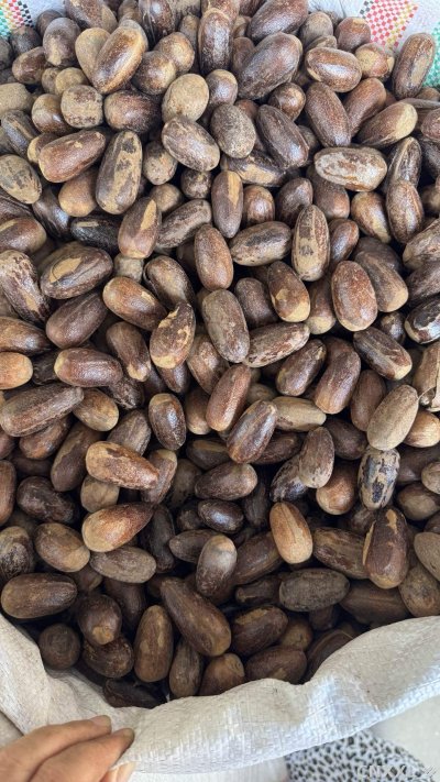 spice_14864_6a24b7d6_2.jpg