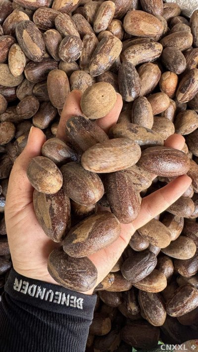 spice_14865_966b0f1c_2.jpg