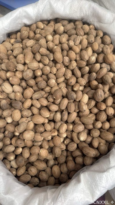 spice_148766_71667140_3.jpg