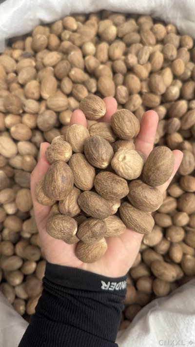 spice_148766_9fd7fa5f_1.jpg