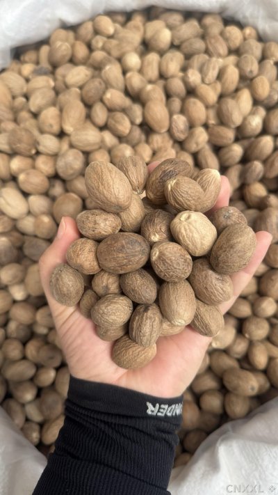 spice_148766_f4f2438f_2.jpg