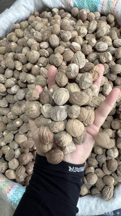 spice_148767_a6fe690c_1.jpg