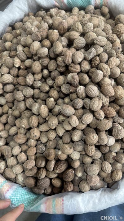 spice_148767_ae70b337_3.jpg