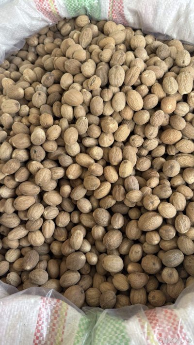 spice_14894_0fd77b4d_3.jpg