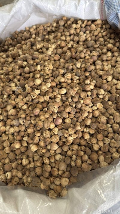 spice_14925_051f184b_3.jpg
