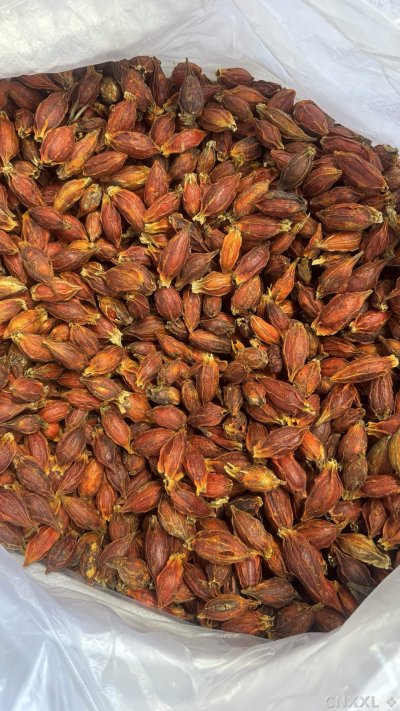 spice_14988_29c912c7_3.jpg