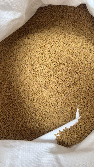 spice_1548516_4460ee85_3.jpg