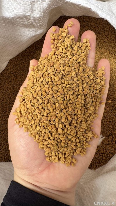 spice_1548516_9a9d37ab_2.jpg