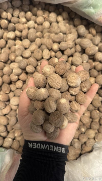 spice_16037_1abd00bb_1.jpg