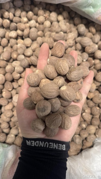 spice_16037_35649efe_2.jpg