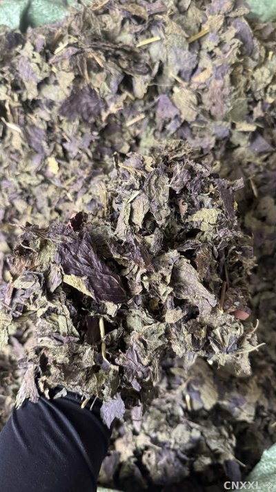 spice_163649_8c3a782e_2.jpg