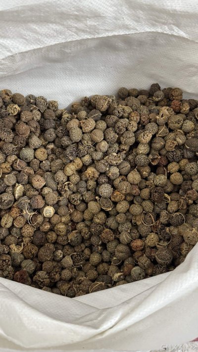 spice_16520_1222fb5b_3.jpg