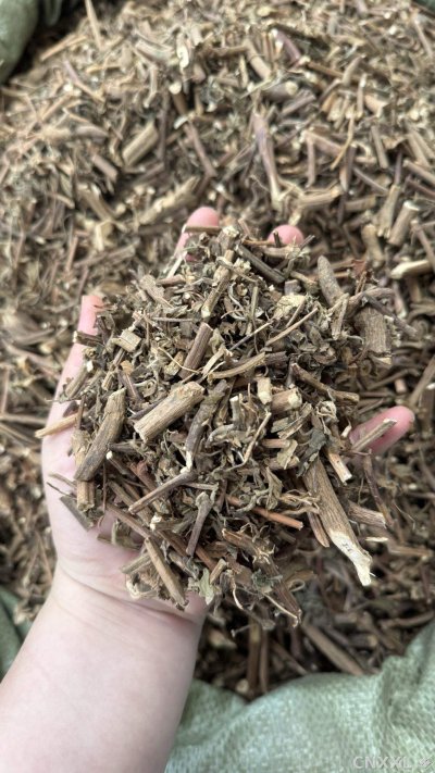 spice_16577_206157cd_2.jpg