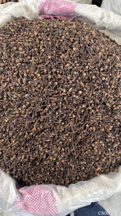 spice_1694695_a81d3e43_3.jpg