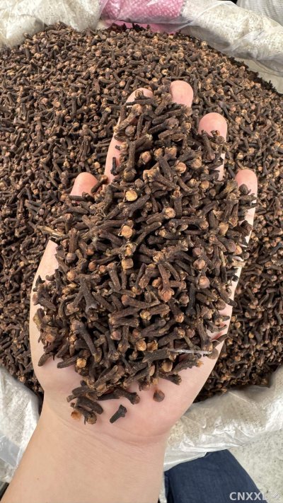 spice_1694695_ad9509d1_2.jpg