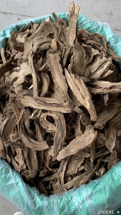 spice_17003_4627fc9b_3.jpg