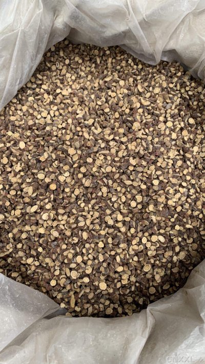 spice_17155_e5be1565_3.jpg