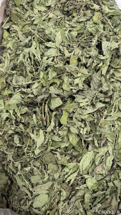 spice_1755193_44834f0b_3.jpg