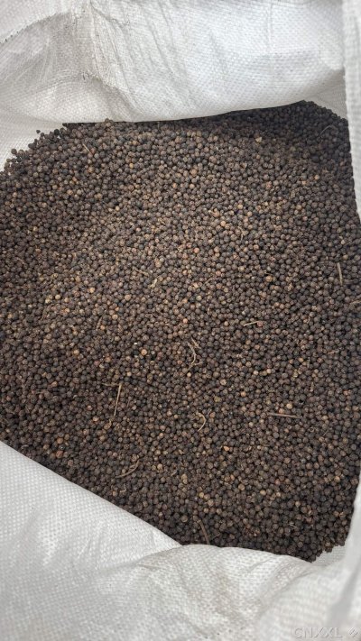 spice_18499_54cffb98_3.jpg