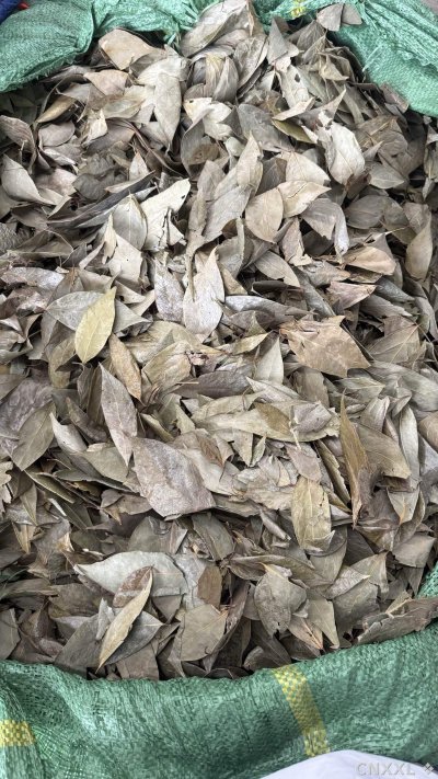 spice_18537_0fa921a3_3.jpg