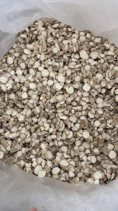 spice_1861244_d9832ffb_2.jpg