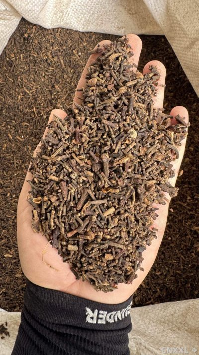 spice_1861259_82e076e9_1.jpg