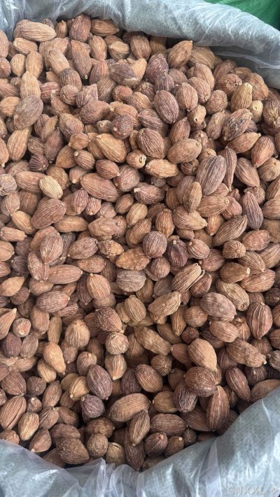 spice_18791_729abeac_3.jpg