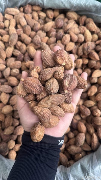 spice_18791_e3eed54d_1.jpg